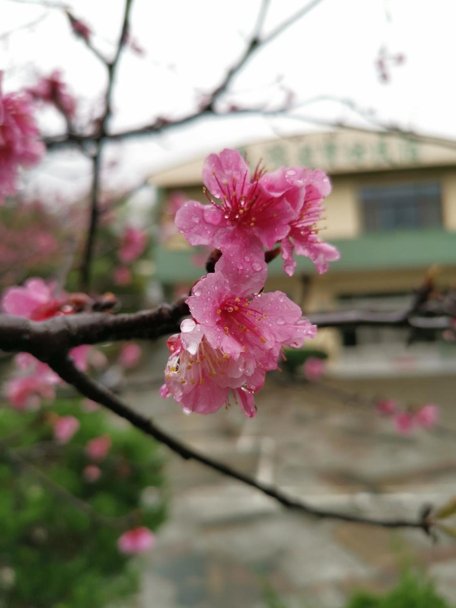 Tai Yu Ju Bao Fang B&B Luje Kültér fotó